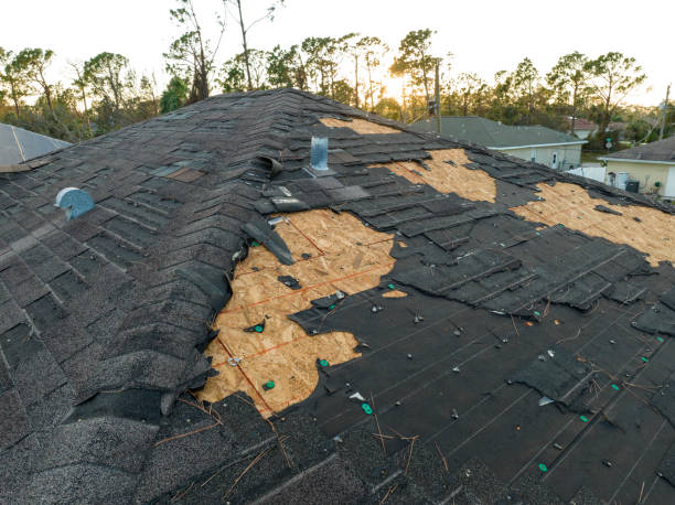 Skylights in Knox, PA