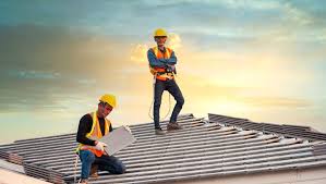 Best Roof Moss and Algae Removal  in Knox, PA